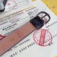 Replica Cintura Mini 25MM Monogram Multicolor M9586W