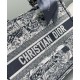 Replica Christian Dior Borsa Book Tote con libro blu scuro