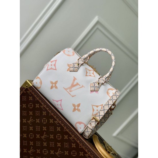 Replica Borsa Louis Vuitton Speedy Bandoulière 25 M22987