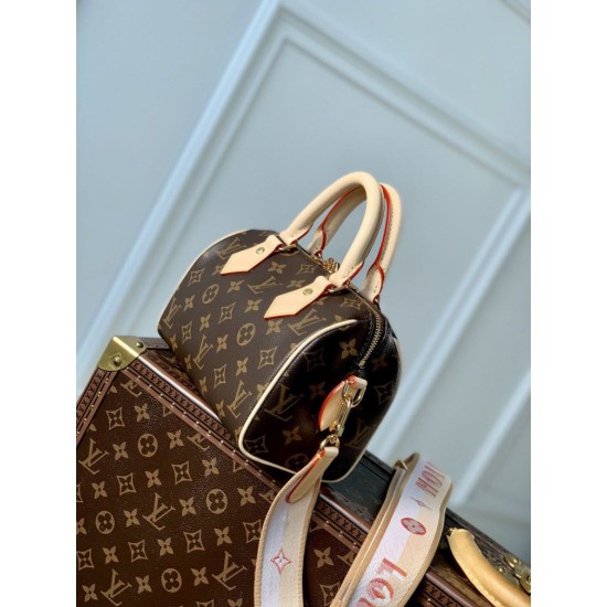 Replica Borsa Louis Vuitton Speedy Bandoulière 20 M46594