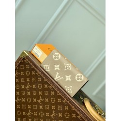 Replica Portafoglio Louis Vuitton Emilie Monogramma bicolore M82341