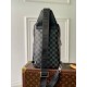 Replica Borsa a tracolla Louis Vuitton Avenue N46345