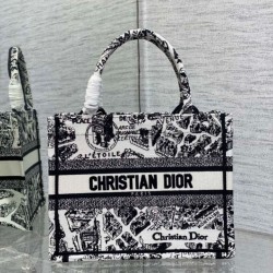 Replica Borsa tote Dior piccola a libro Plan de Paris ricamata bianca