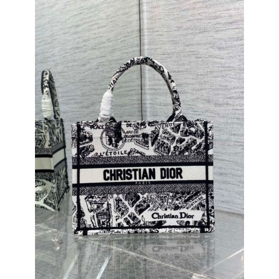 Replica Borsa tote Dior piccola a libro Plan de Paris ricamata bianca