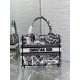 Replica Borsa tote Dior piccola a libro Plan de Paris ricamata bianca
