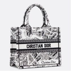 Replica Borsa tote Dior piccola a libro Plan de Paris ricamata bianca