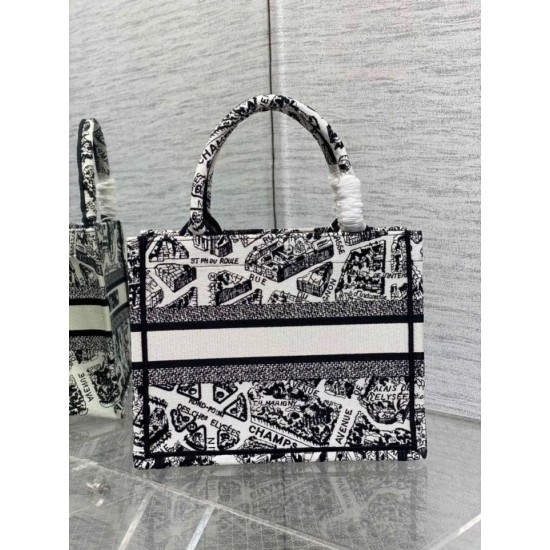 Replica Borsa tote Dior piccola a libro Plan de Paris ricamata bianca