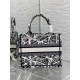 Replica Borsa tote Dior piccola a libro Plan de Paris ricamata bianca