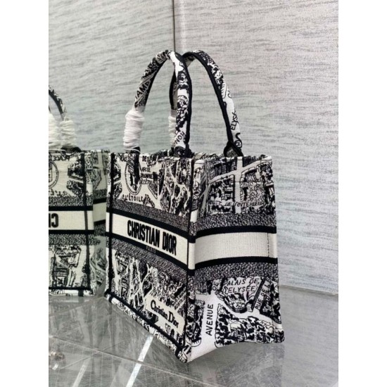 Replica Borsa tote Dior piccola a libro Plan de Paris ricamata bianca