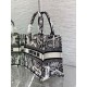 Replica Borsa tote Dior piccola a libro Plan de Paris ricamata bianca