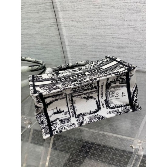 Replica Borsa tote Dior piccola a libro Plan de Paris ricamata bianca