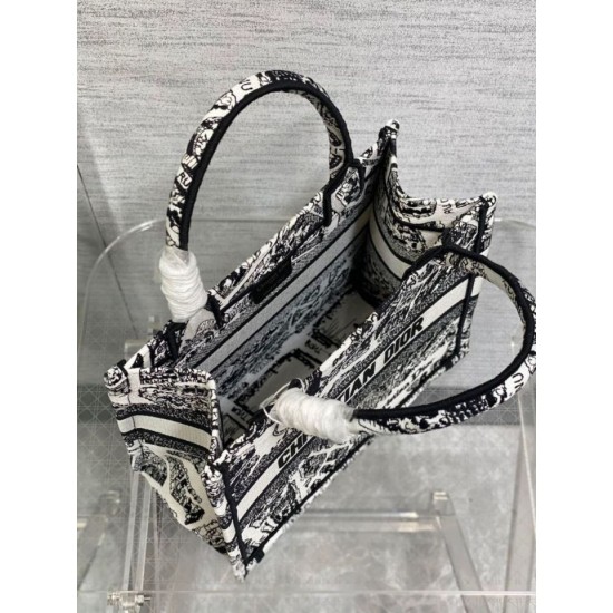 Replica Borsa tote Dior piccola a libro Plan de Paris ricamata bianca