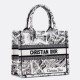 Replica Borsa tote Dior piccola a libro Plan de Paris ricamata bianca