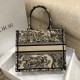 Replica Borsa tote Dior piccola a libro Toile de Jouy ricamata Marrone
