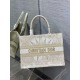 Replica Borsa tote Dior media a libro Rêve d'Infini ricamo Oro