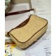 Replica Christian Dior 30 Montaigne Hobo Avenue Mini Borsa Albicocca
