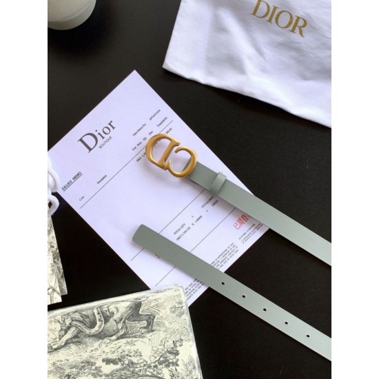 Replica Cintura Dior Saddle 20MM Grigia