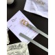 Replica Cintura Dior Saddle 20MM Grigia