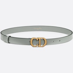 Replica Cintura Dior Saddle 20MM Grigia