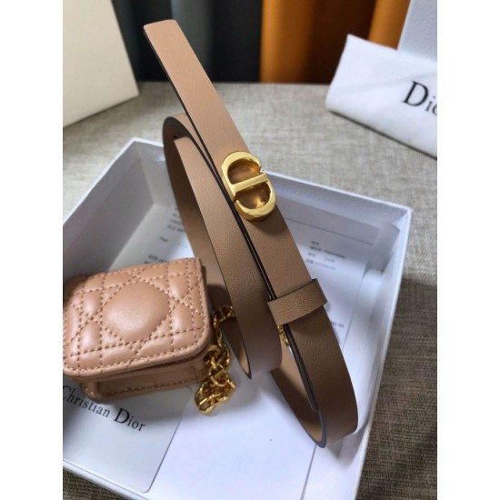 Replica Cintura Dior Caro 15MM con custodia rimovibile Beige