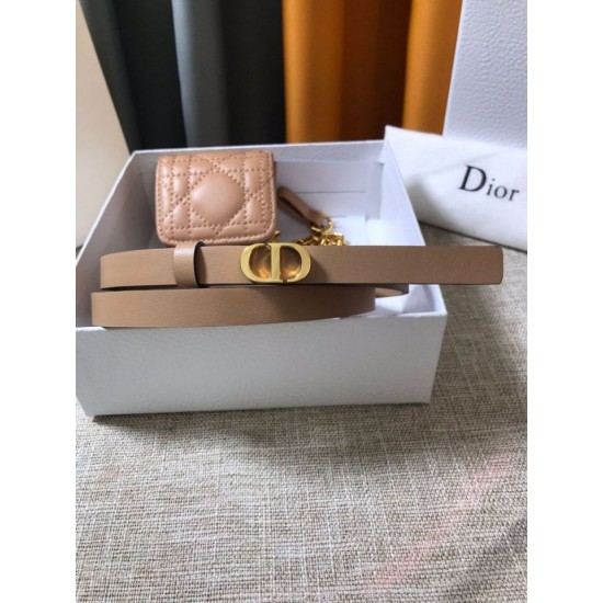Replica Cintura Dior Caro 15MM con custodia rimovibile Beige