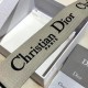 Replica Tracolla Dior Christian Dior Beige