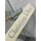 Replica Tracolla Dior con Anello Ricamo Obliquo Grigio