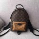 Replica Palm Springs Zaino PM Monogram Reverse M43116