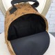 Replica Zaino Palm Springs Mini Monogram M42411