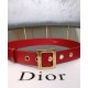 Replica Cintura Christian Dior da donna in pelle di vitello Diorquake rossa