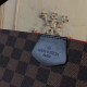 Replica Graceful PM Borse Damier Ebene N44044
