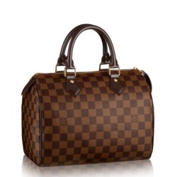 Replica Borse Speedy 25 Damier Ebene N41365