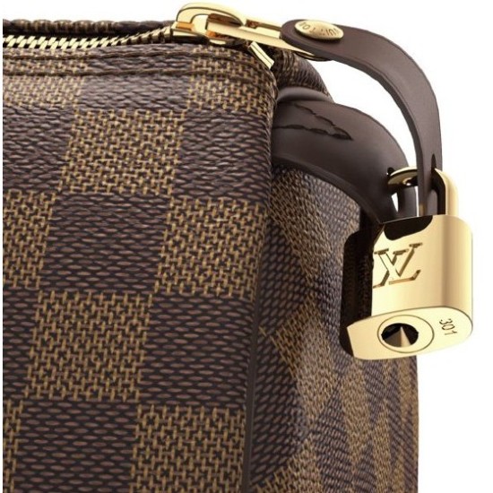 Replica Borse Speedy 25 Damier Ebene N41365