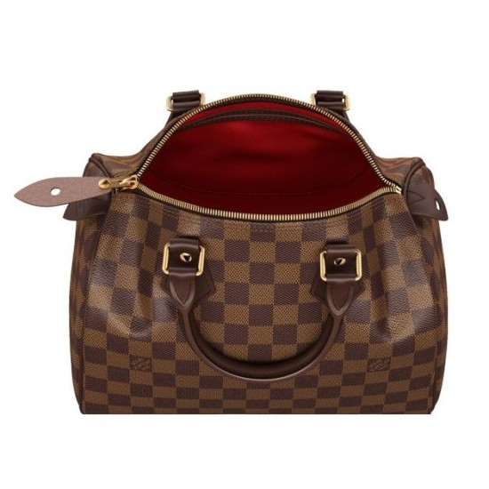 Replica Borse Speedy 25 Damier Ebene N41365