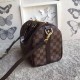 Replica Borse Speedy Bandoulière 25 Damier Ebene N41368