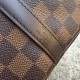 Replica Borse Speedy Bandoulière 35 Damier Ebene N41366