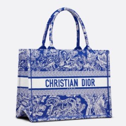 Perfette Qualità Repliche Dior Book Tote Bag Media Ricamo Toile de Jouy Reverse Blu Imitazione