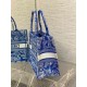 Perfette Qualità Repliche Dior Book Tote Bag Media Ricamo Toile de Jouy Reverse Blu Imitazione