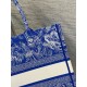 Perfette Qualità Repliche Dior Book Tote Bag Media Ricamo Toile de Jouy Reverse Blu Imitazione