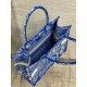 Perfette Qualità Repliche Dior Book Tote Bag Media Ricamo Toile de Jouy Reverse Blu Imitazione