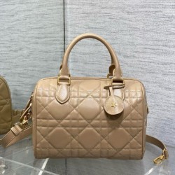 Perfette Qualità Repliche Borsa Dior Groove 25 in pelle di vitello Macrocannage biscotto Imitazione