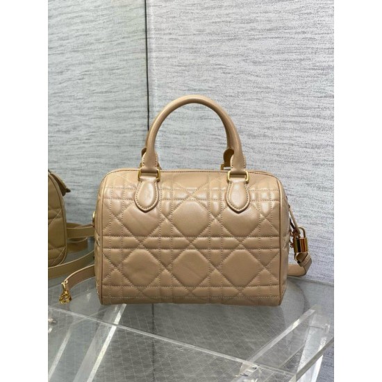 Perfette Qualità Repliche Borsa Dior Groove 25 in pelle di vitello Macrocannage biscotto Imitazione