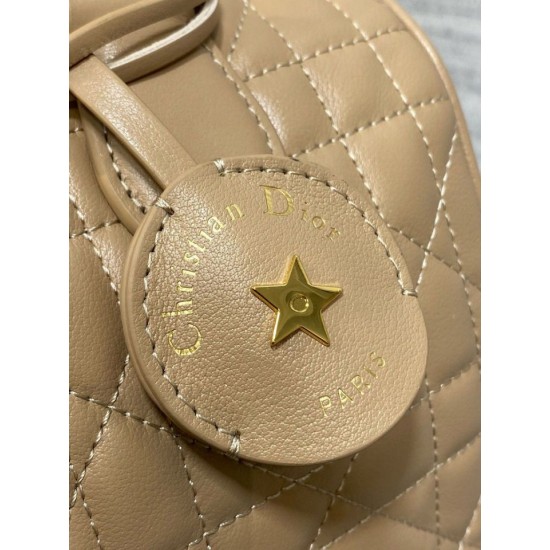 Perfette Qualità Repliche Borsa Dior Groove 25 in pelle di vitello Macrocannage biscotto Imitazione