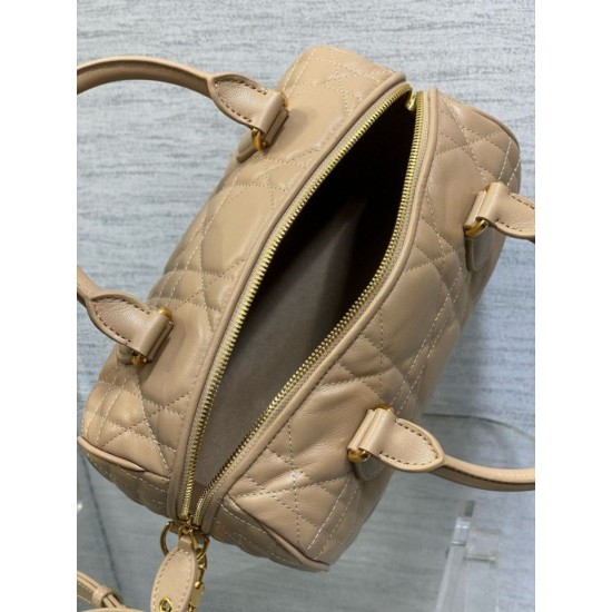 Perfette Qualità Repliche Borsa Dior Groove 25 in pelle di vitello Macrocannage biscotto Imitazione