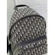 Migliore Repliche Zaino Dior Rider Dior Oblique Jacquard Beige/Nero Economiche Outlet Online