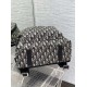 Migliore Repliche Zaino Dior Rider Dior Oblique Jacquard Beige/Nero Economiche Outlet Online