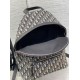 Migliore Repliche Zaino Dior Rider Dior Oblique Jacquard Beige/Nero Economiche Outlet Online