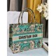 Replica perfetta Borsa tote Dior media Dior Book ricamata con motivo Dior Around the World multicolore blu Imitazione Outlet Online