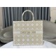 Perfette Qualità Repliche Dior Medium/Large Book Tote Bag Ricamo rattan oversize Bianco/Oro Imitazione