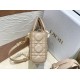 Perfette Qualità Repliche Replica Dior Piccola Borsa Lady D-Joy Dior Cannage Albicocca Imitazione
